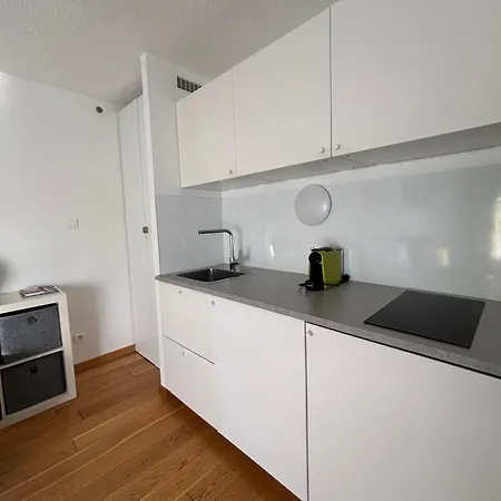 Apple Chamonix, Centre, Parking, Ski-in/out Appartement Chamonix